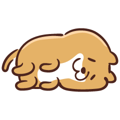 いぬ